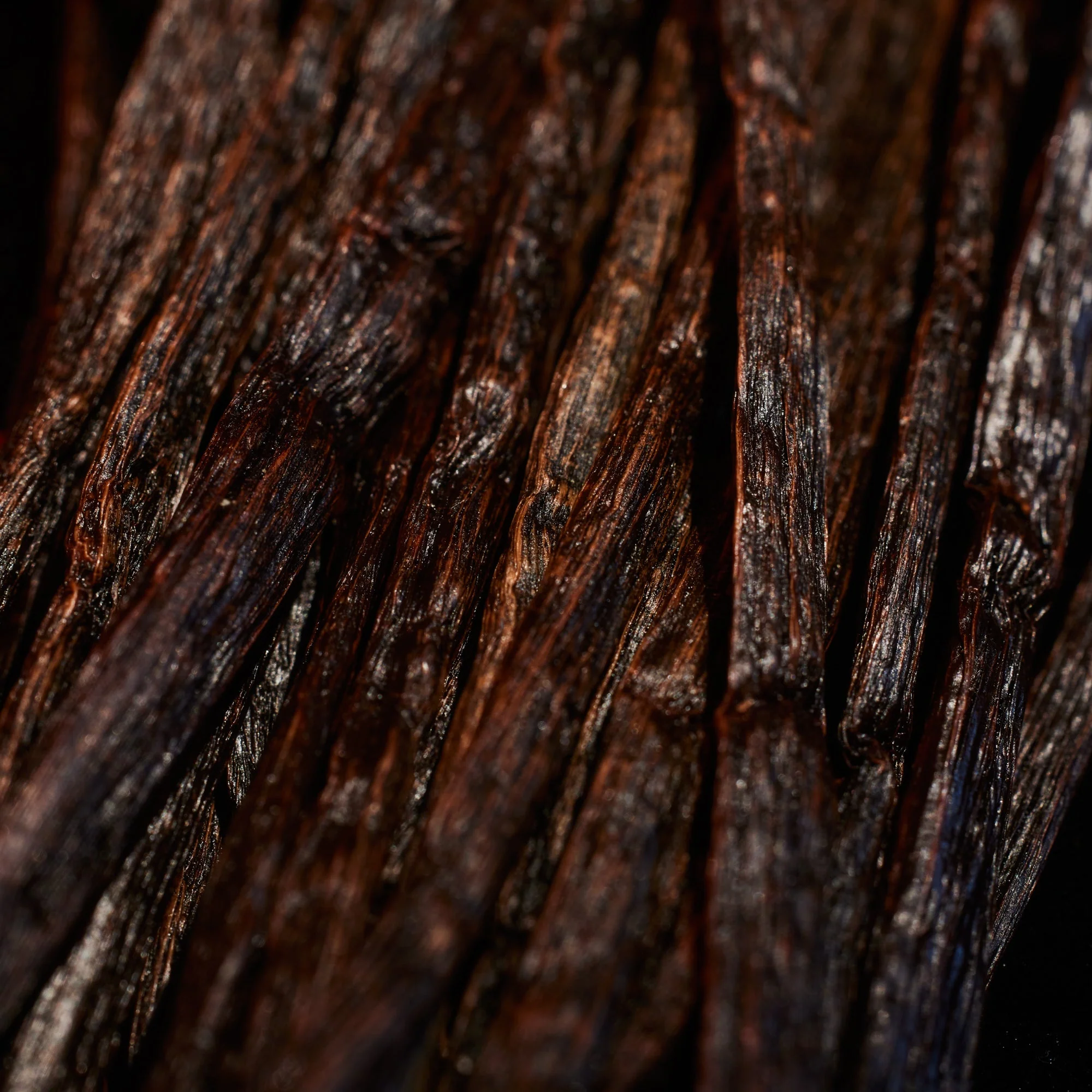 Oudgasm Rose Oud | 16 Bakhoor - Image 6
